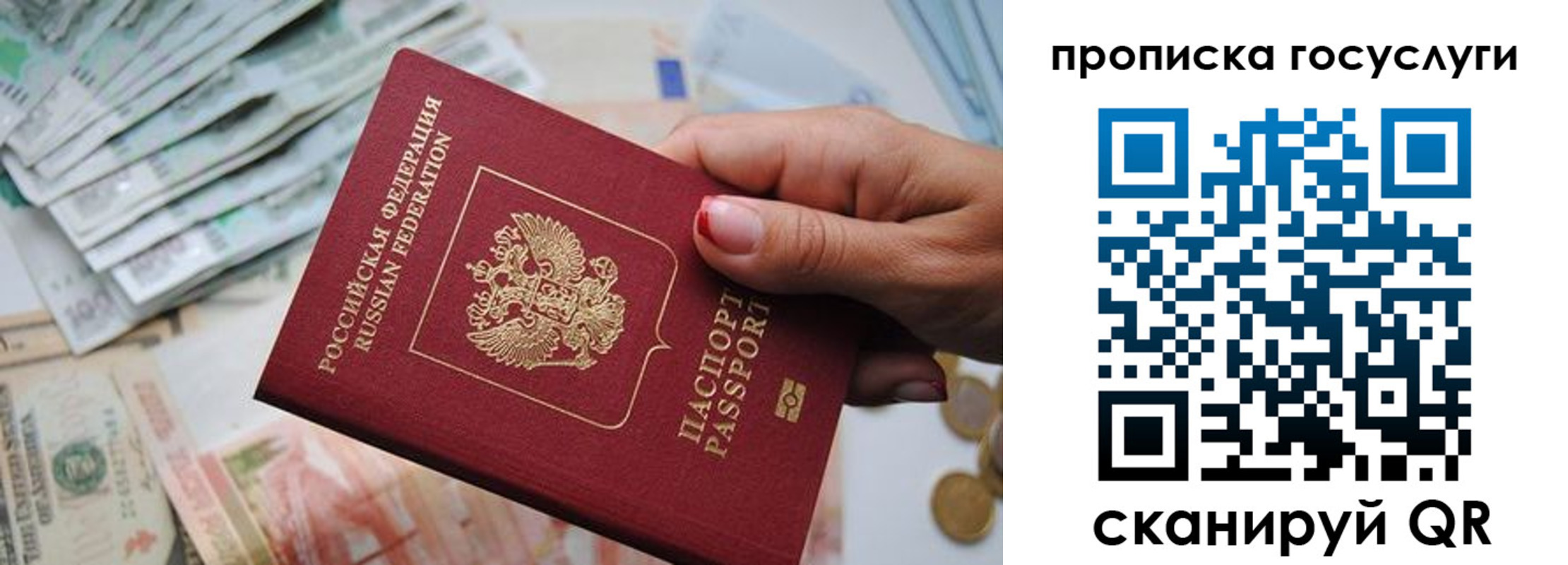 прописка поиск в Светогорске